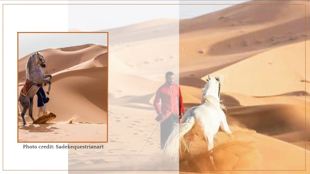 Horseback ride in the Agafay Desert, dinner, and overnight stay in the Agafay Desert.