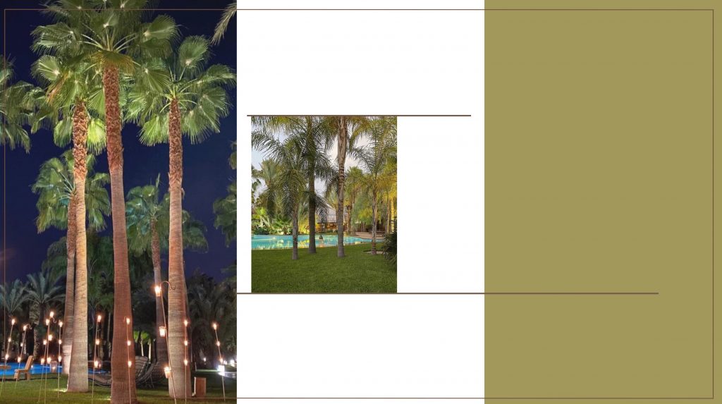 Stroll through the palm grove of Marrakech - luxury events agency - wedding planner de luxe