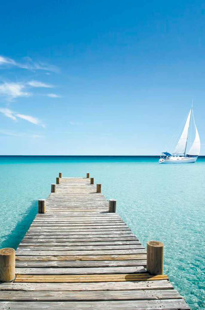 Get-Married-at-The-Brando-Private-Island-of-Tetiaroa-in-French-Polynesia-Wedding-Planner-Bora-Bora-Wedding-planner-de-luxe-Bora-Bora-Wedding-planner-Tetiaroa-Wedding-planner-ile-privée