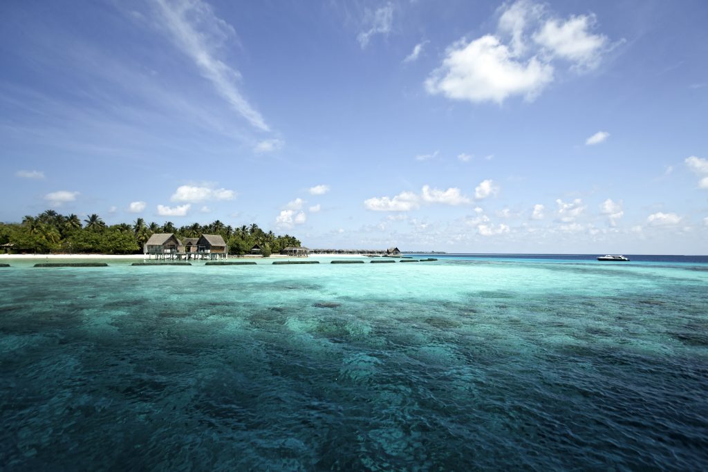 Getting-married-at-Constance-Moofushi-Maldives: a-poetic-luxurious-and-intimate-wedding-curated-by-Luxury-Events-Agency-in-a-preserved-Maldivian-atoll-wedding-planner-Maldives-Luxury-events-agency-Maldives- Luxury-wedding-at-Cheval-Blanc-Randheli-Maldives-Exclusive-wedding-planner-Maldives-High-end-events-agency