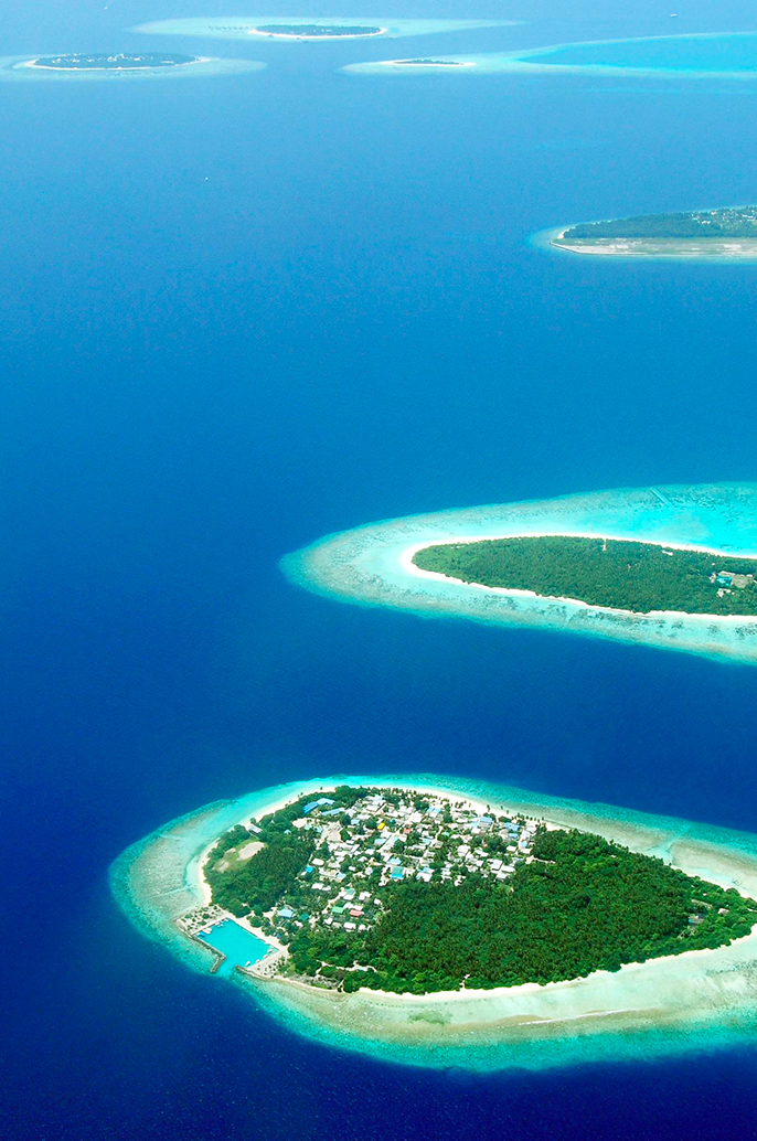 Get-Married-at-The-Brando-Private-Island-of-Tetiaroa-in-French-Polynesia-Wedding-Planner-Bora-Bora-Wedding-planner-de-luxe-Bora-Bora-Wedding-planner-Tetiaroa-Wedding-planner-ile-privée