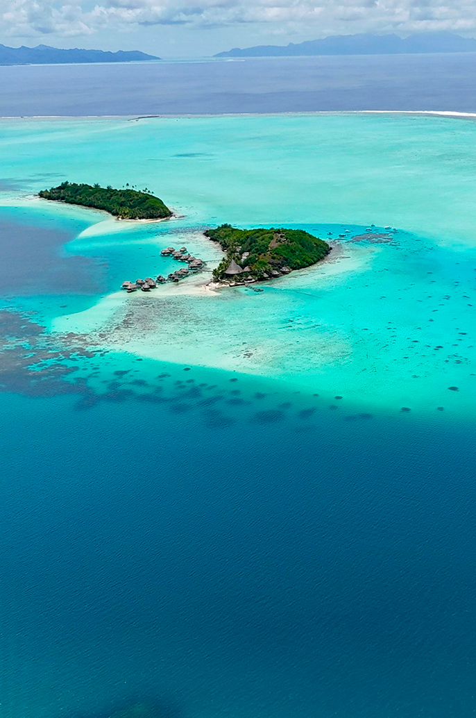 Get-Married-at-The-Brando-Private-Island-of-Tetiaroa-in-French-Polynesia-Wedding-Planner-Bora-Bora-Wedding-planner-de-luxe-Bora-Bora-Wedding-planner-Tetiaroa-Wedding-planner-ile-privée